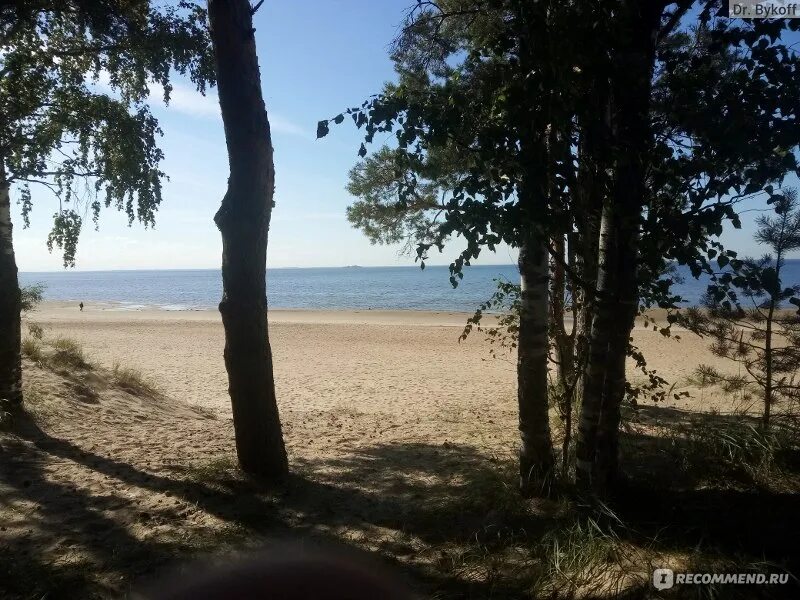 Пляж дюна санкт петербург фото Пляж Дюны, Курортный район, Санкт-Петербург - "Натуризм vs реализм" отзывы