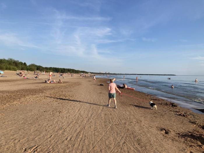 Пляж дюна санкт петербург фото Пляж "Дюны" - Санкт-Петербург