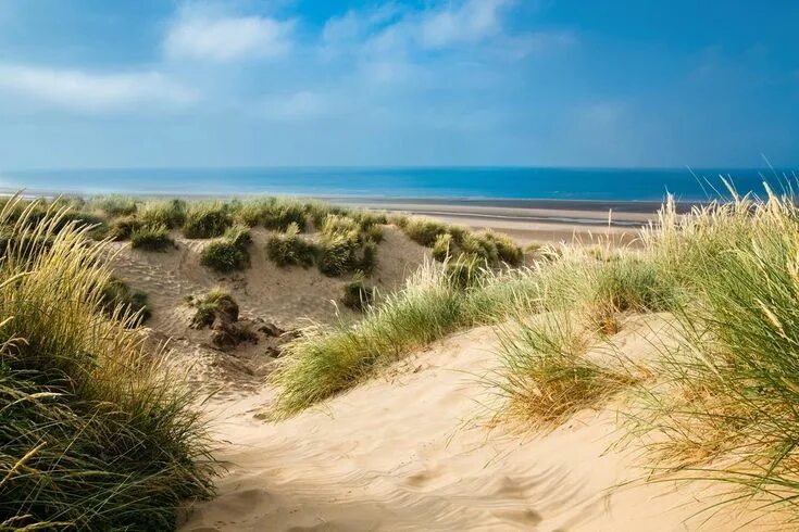 Пляж дюны фото Camber Sands Day Out With The Kids England beaches, Camber sands, Dog friendly b