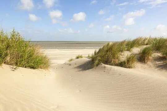 Пляж дюны фото Nordsee Dünen Изображения: просматривайте стоковые фотографии, векторные изображ