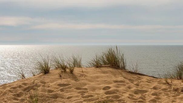 Пляж дюны фото 2,000+ Free Sand Dunes & Desert Images - Pixabay Beach images, Beach, Beach sand