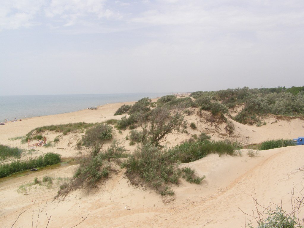 Пляж дюны фото Море в Анапе, пляж, дюны и небо Кубань.RU Дзен