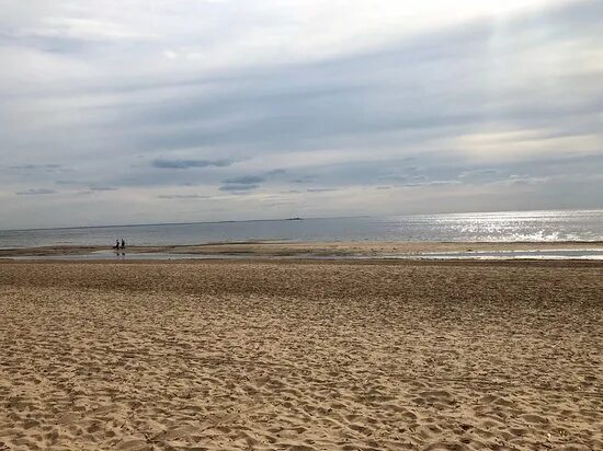 Пляж дюны санкт петербург сестрорецк фото сосны в Дюнах - Picture of Dyuny Beach, Sestroretsk - Tripadvisor