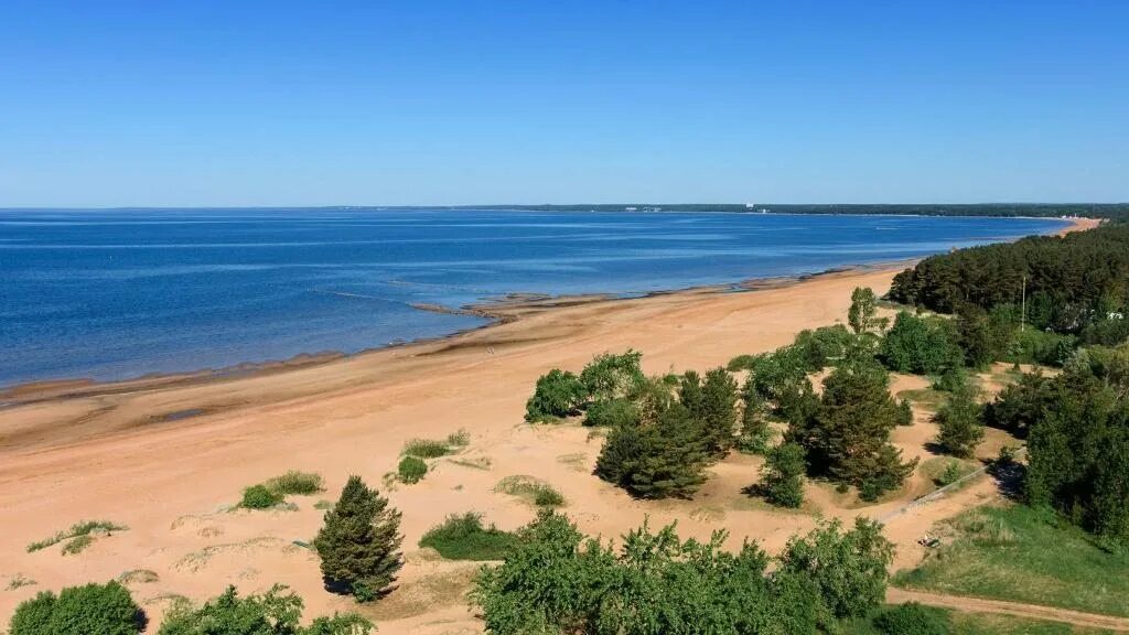Пляж дюны санкт петербург сестрорецк фото Санаторий Сестрорецкий Курорт, Сестрорецк, Санкт-Петербург, цены от 6400 руб. 10