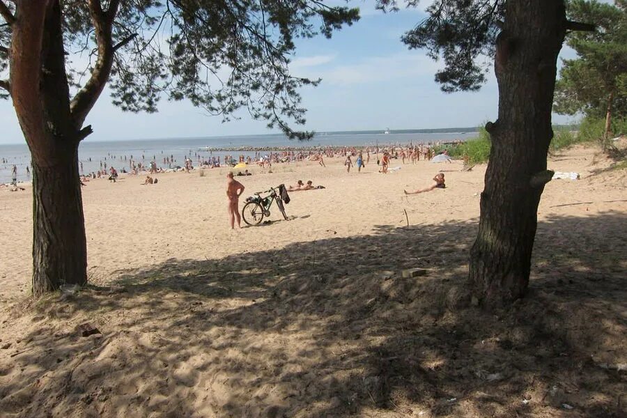 Пляж дюны санкт петербург сестрорецк фото Пляж Дюны в Сестрорецке (СПб) - нудистский, как добраться