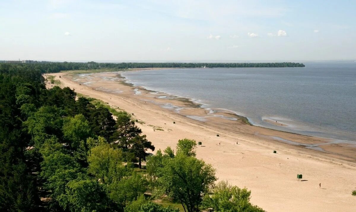 Пляж дюны санкт петербург сестрорецк фото Пляжи Курортного района открыты
