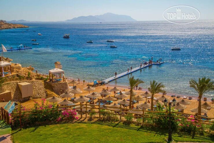 Пляж фарса шарм эль шейх фото Island View Resort 5* (Egypt/South Sinai/Sharm-ash-Sheikh/Sharks Bay). Global ho