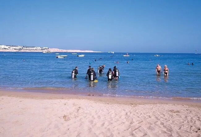 Пляж фарша фото Kahramana Sharm Hotel Hotel, Travel hotels, Online travel