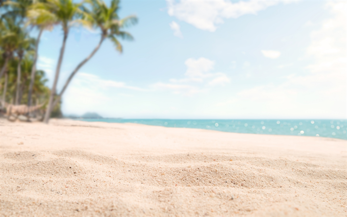 Пляж фото для фотошопа Download wallpapers beach, sand, macro, sea, palm trees, tropical island, summer