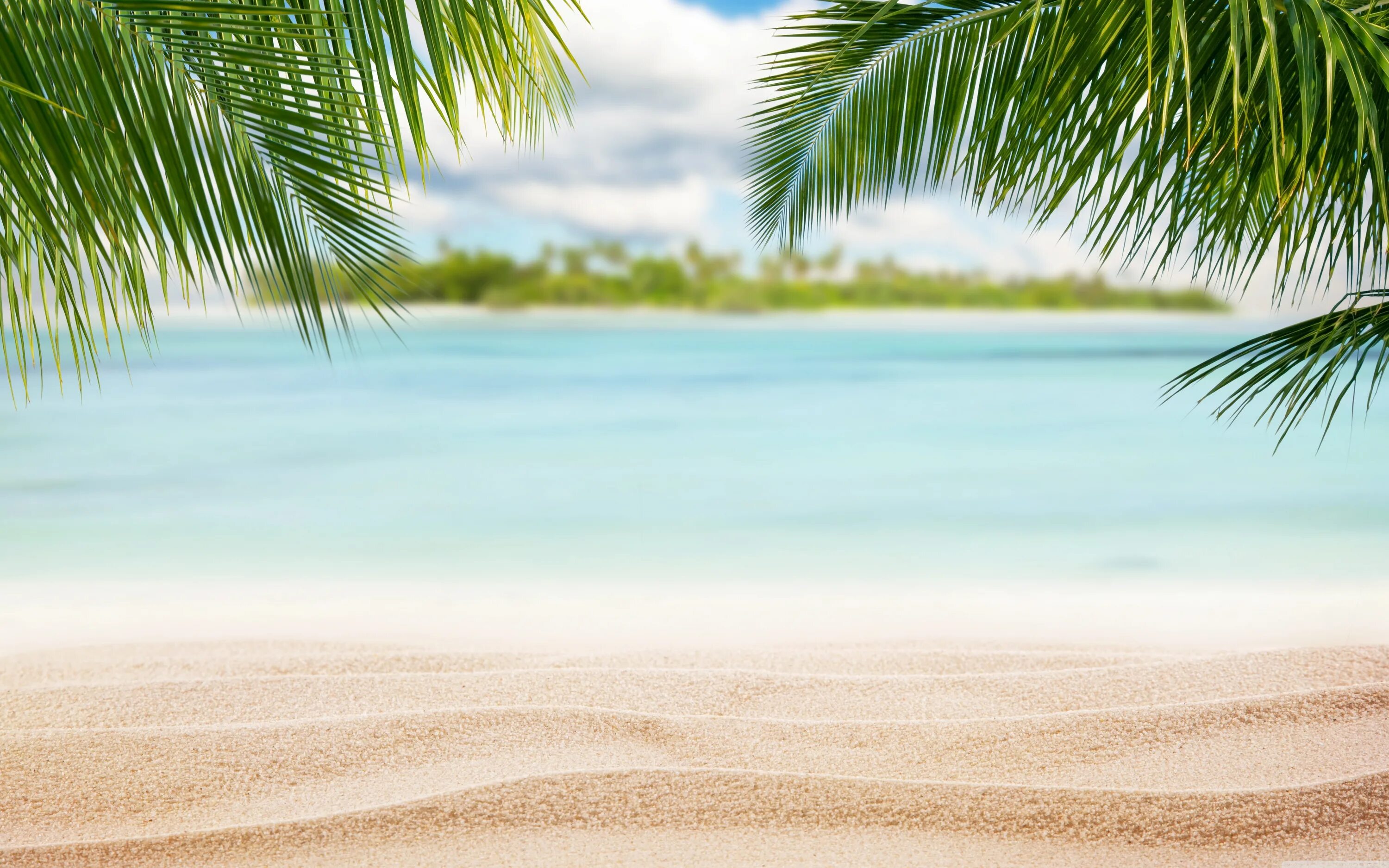 Пляж фото для фотошопа Beach, Nature Ultra HD Desktop Background Wallpaper for 4K UHD TV : Widescreen &