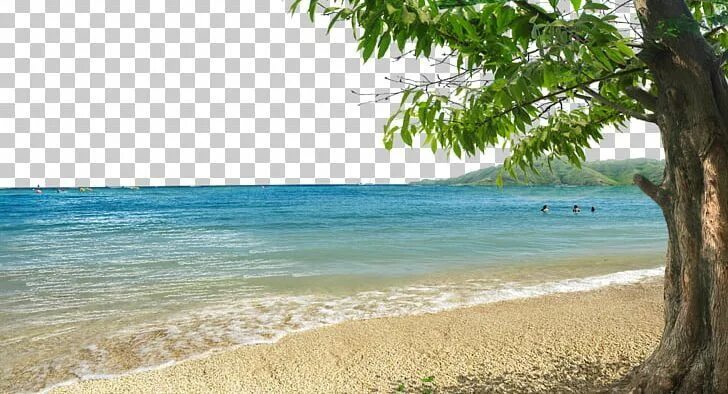 Пляж фото для фотошопа Shore Beach Bay PNG - Free Download in 2024 Dslr background images, Beach backgr
