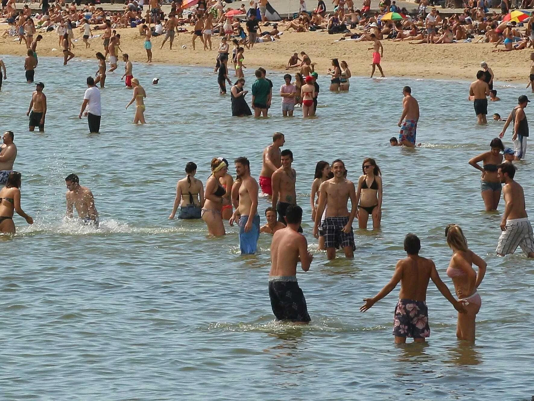 Пляж фото купаться Australian Heatwave Is Getting Dangerous - Business Insider