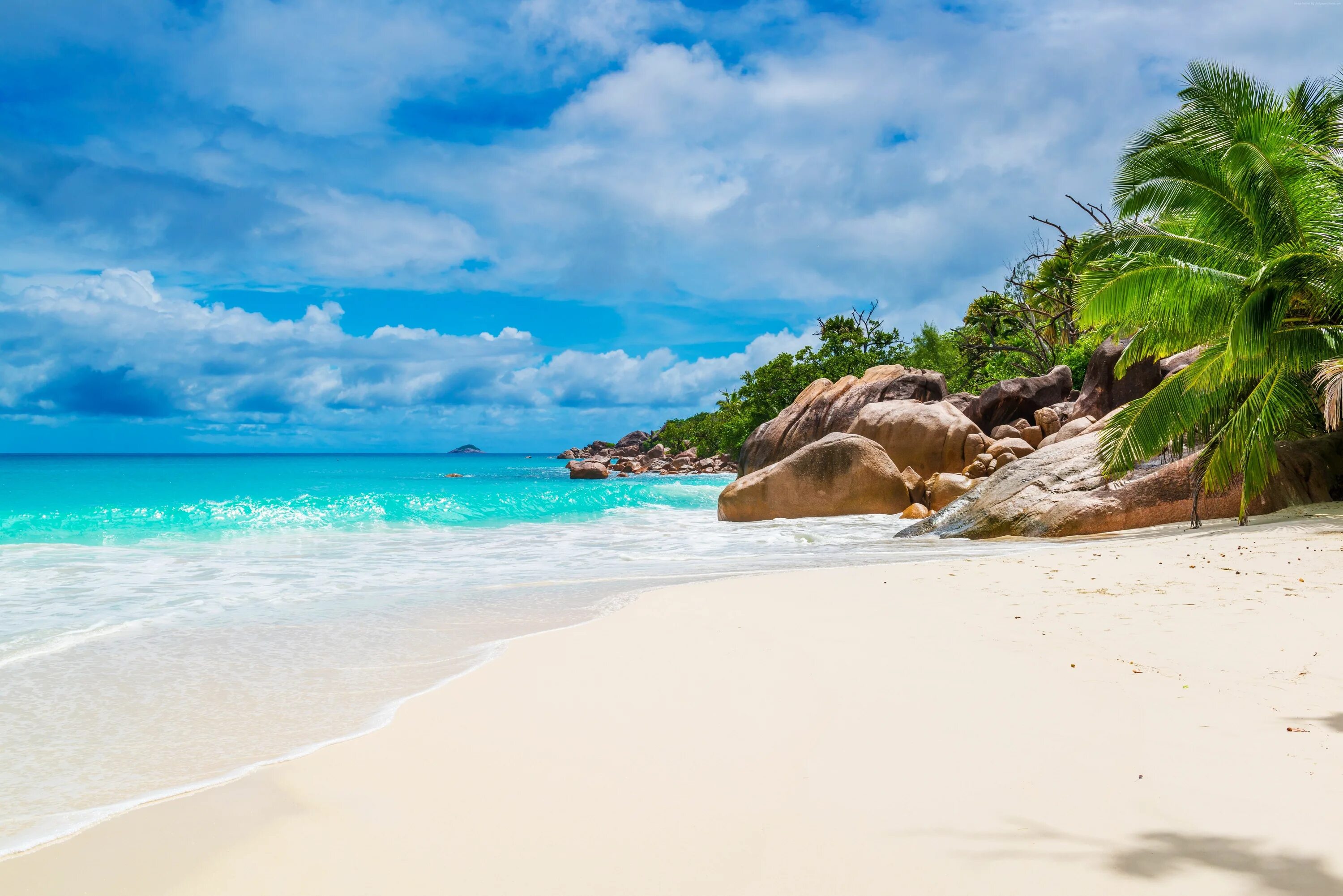 Пляж фото молодых #ocean #sky #coast #5K #palm #beach #Seychelles #Maldives #5K #wallpaper #hdwall