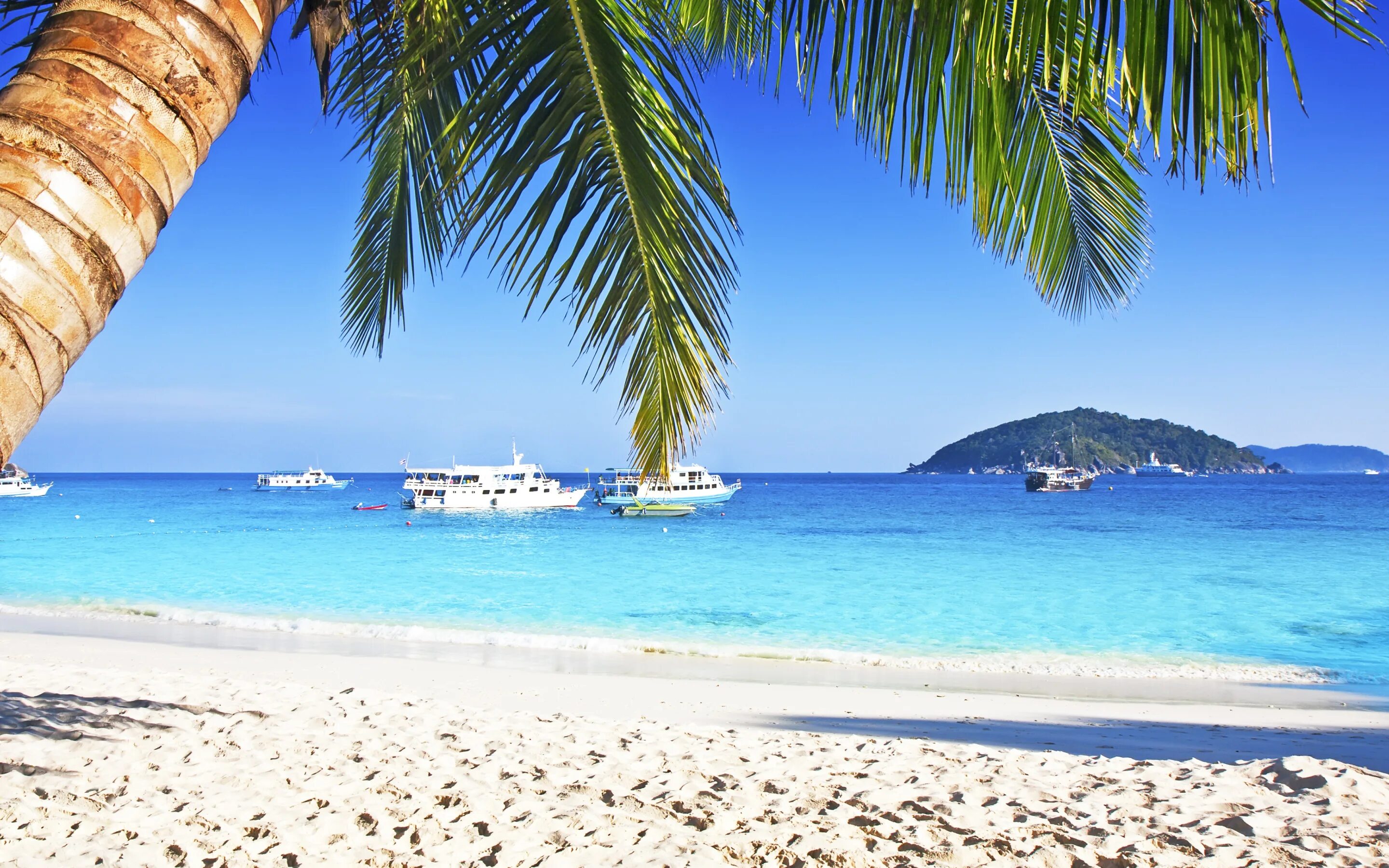 Пляж фото молодых Скачать обои песок, море, пляж, солнце, пальмы, берег, summer, beach, раздел при