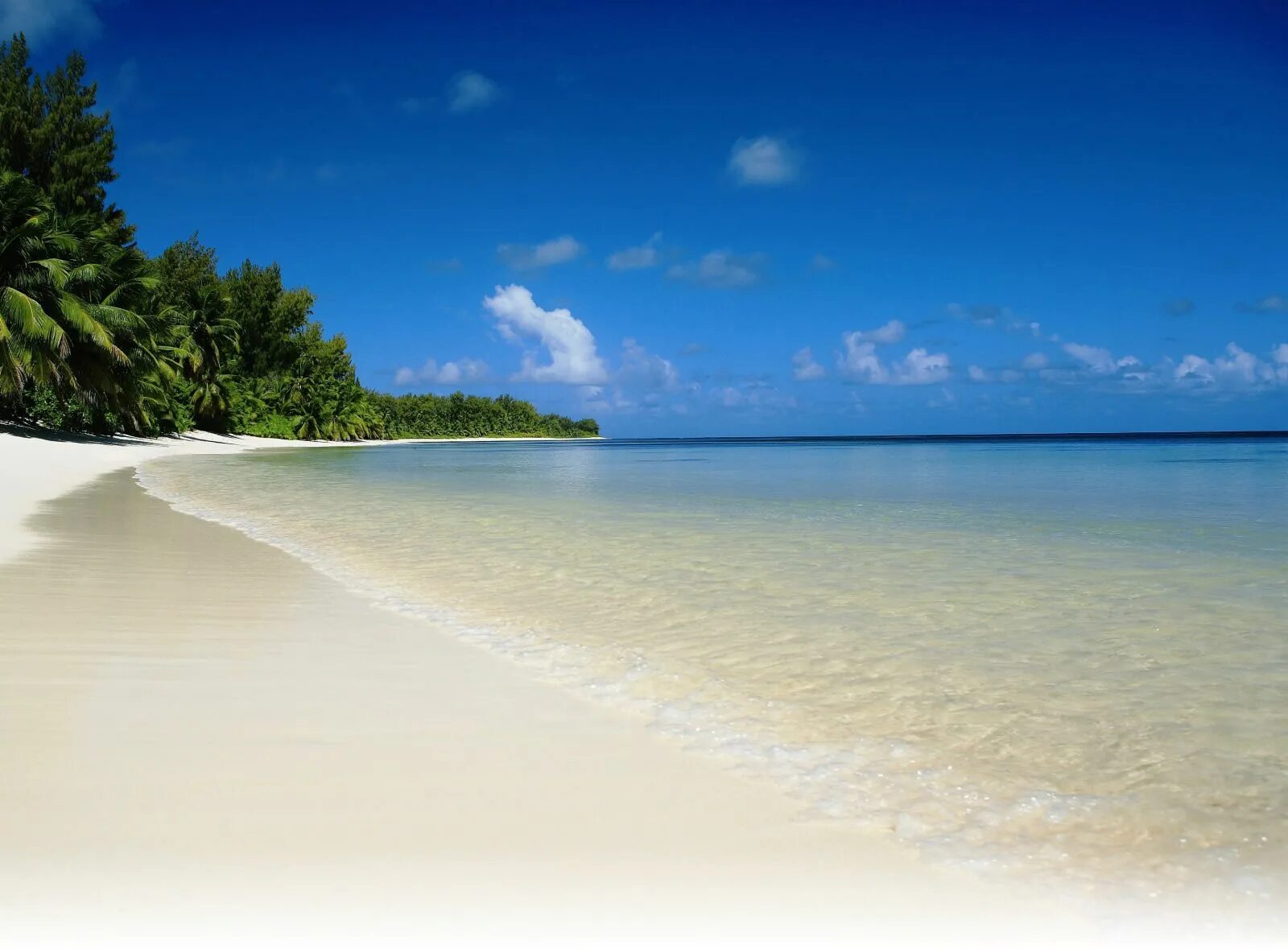 Пляж фото на рабочий Just Seychelles Holidays Find Package Holidays to Seychelles Seychelles islands,