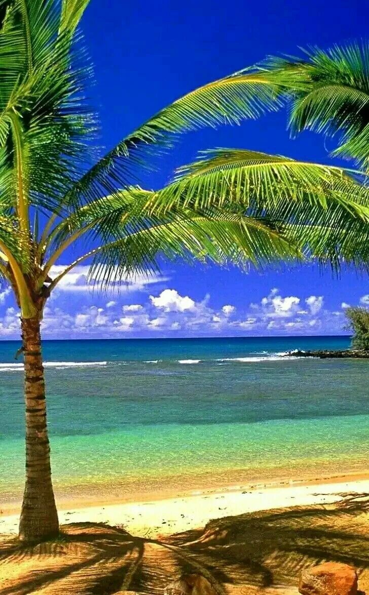 Пляж фото на телефон Wallpaper Saved by SRIRAM Beach wallpaper, Nature beach, Beautiful landscapes