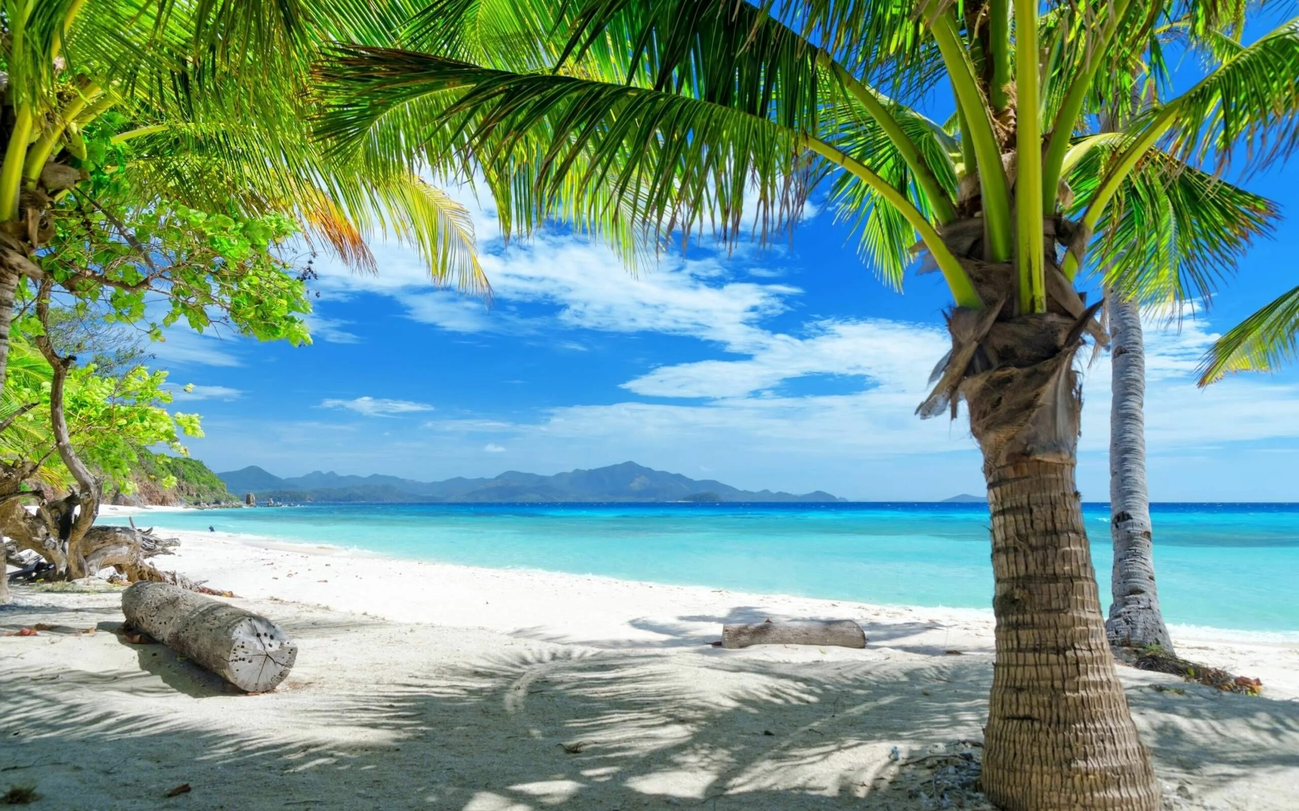 Пляж фото на телефон Beach Wallpaper for mobile phone, tablet, desktop computer and other devices HD 