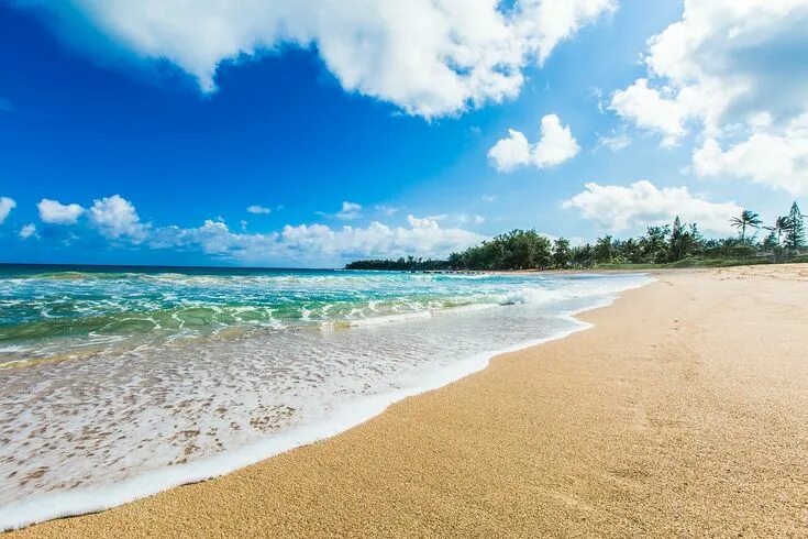 Пляж фото обычных Pin by Janelle Poore on Wallpapers Kauai, Most beautiful beaches, Beach desktop 