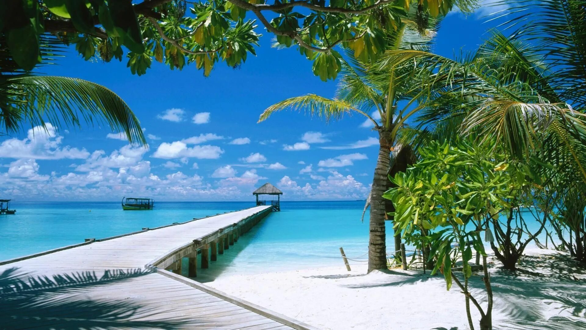 Пляж фото рассказы Maldives Wallpapers HD Free Download Maldivas, Goa, Fotos