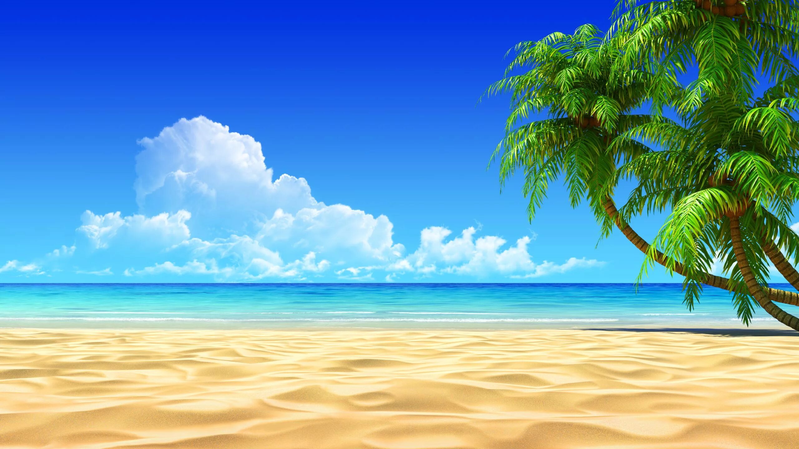 Пляж фото рисунок Summer clip art beach clipart image Scenery wallpaper, Beautiful wallpapers, Bea