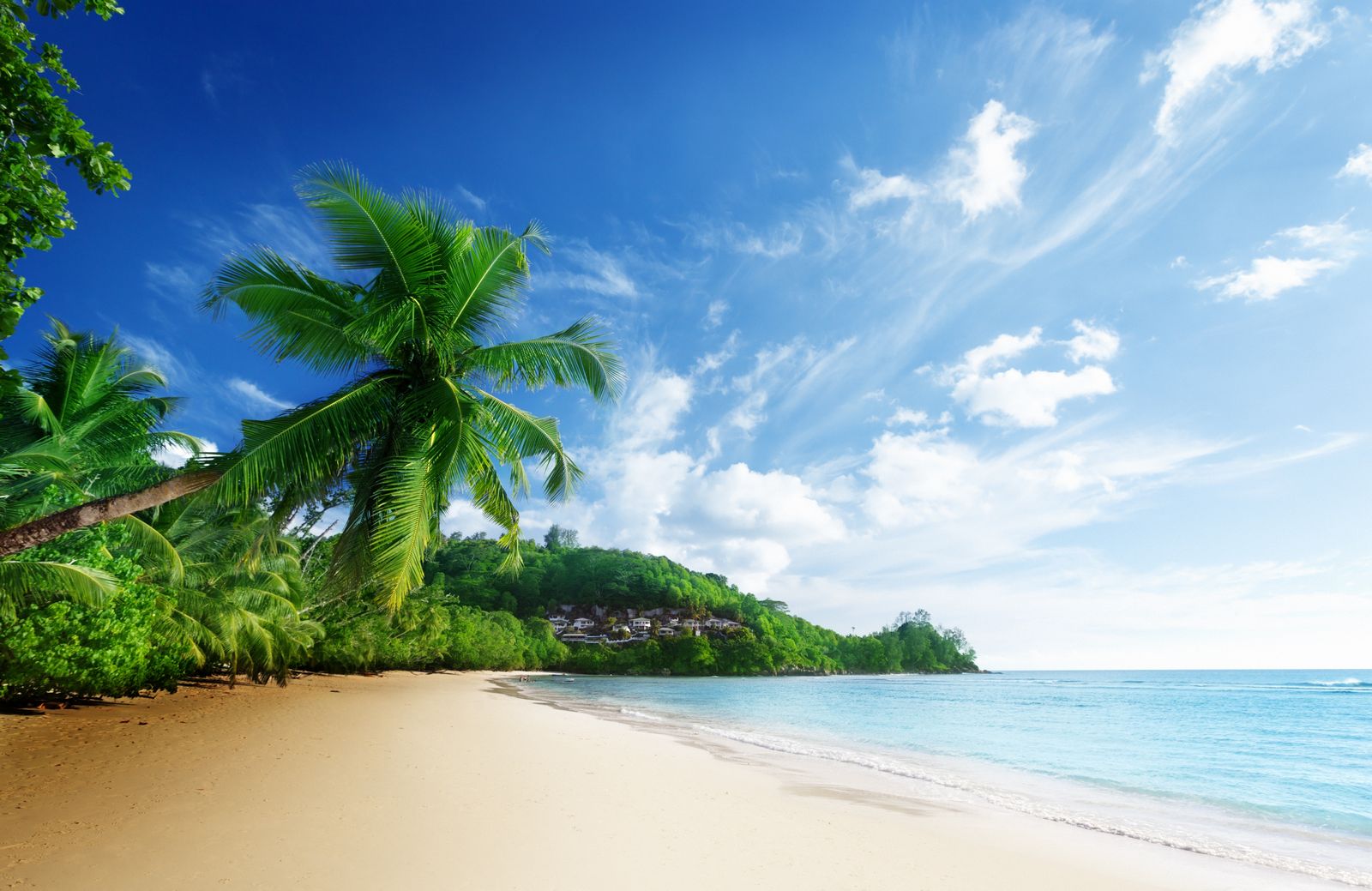 Пляж фото рисунок Купить фотообои Tropical Beach 6 (#3766) заказать в каталоге интернет магазина с