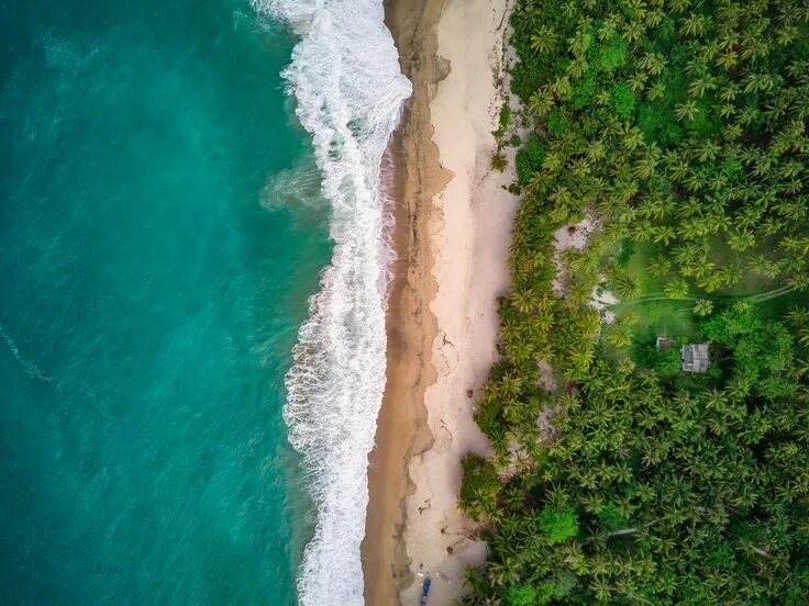 Пляж фото сверху Aerial Caribbean Beach View by Cody Clark 1024x768 http://ift.tt/2js62Nh Caribbe