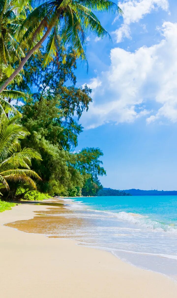 Пляж фото вертикальные Скачать обои песок, море, волны, пляж, берег, summer, beach, sea, раздел природа
