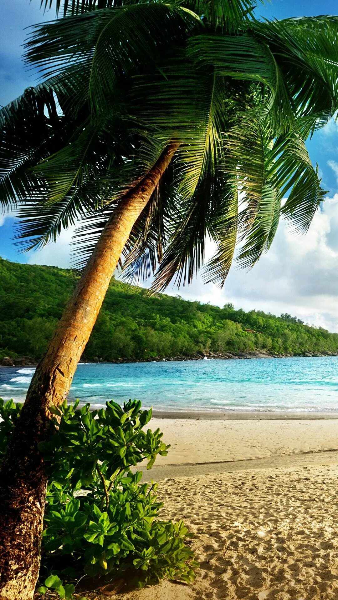 Пляж фото вертикальные Pin em Some Beach, Somewhere Imagens natureza, Lindas paisagens, Natureza bela