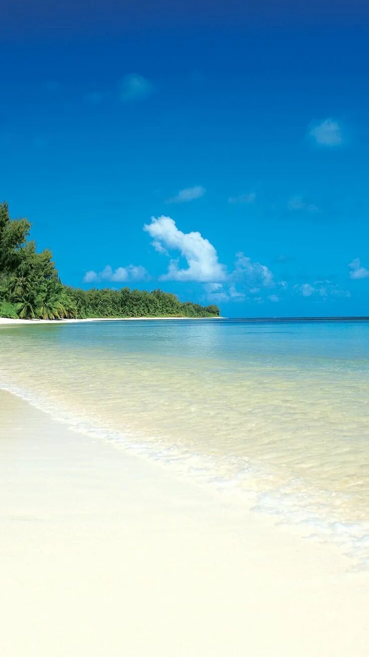 Пляж фото вертикальные White sand beach Lindas paisagens, Imagens de areia, Fundo de praia