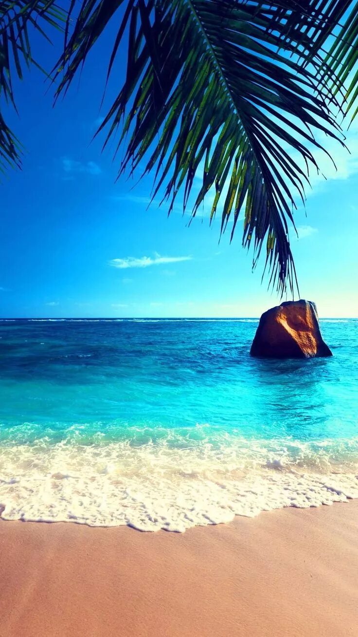 Пляж фото вертикальные Beautiful beach Beach wall murals, Beautiful beaches, Beach
