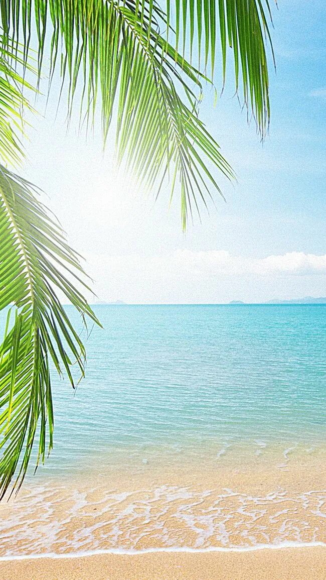 Пляж фото вертикальные Sunny Beaches H5 Background