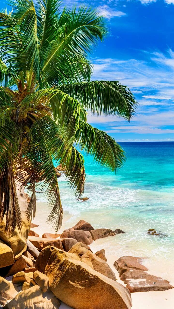 Пляж фото вертикальные Pin by Karsai Vivi on Beach Beautiful landscapes, Beach photos, Beautiful beache