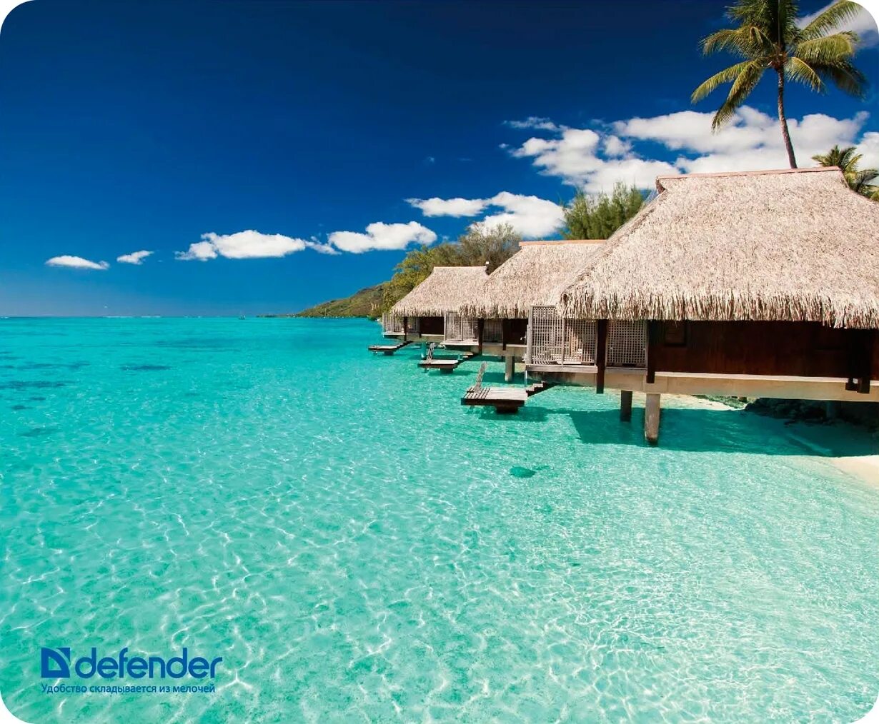 Пляж фото высокое качество Коврик для мыши Defender Silk Pad Nature. Цена 430руб. Купить в СПБ в интернет м