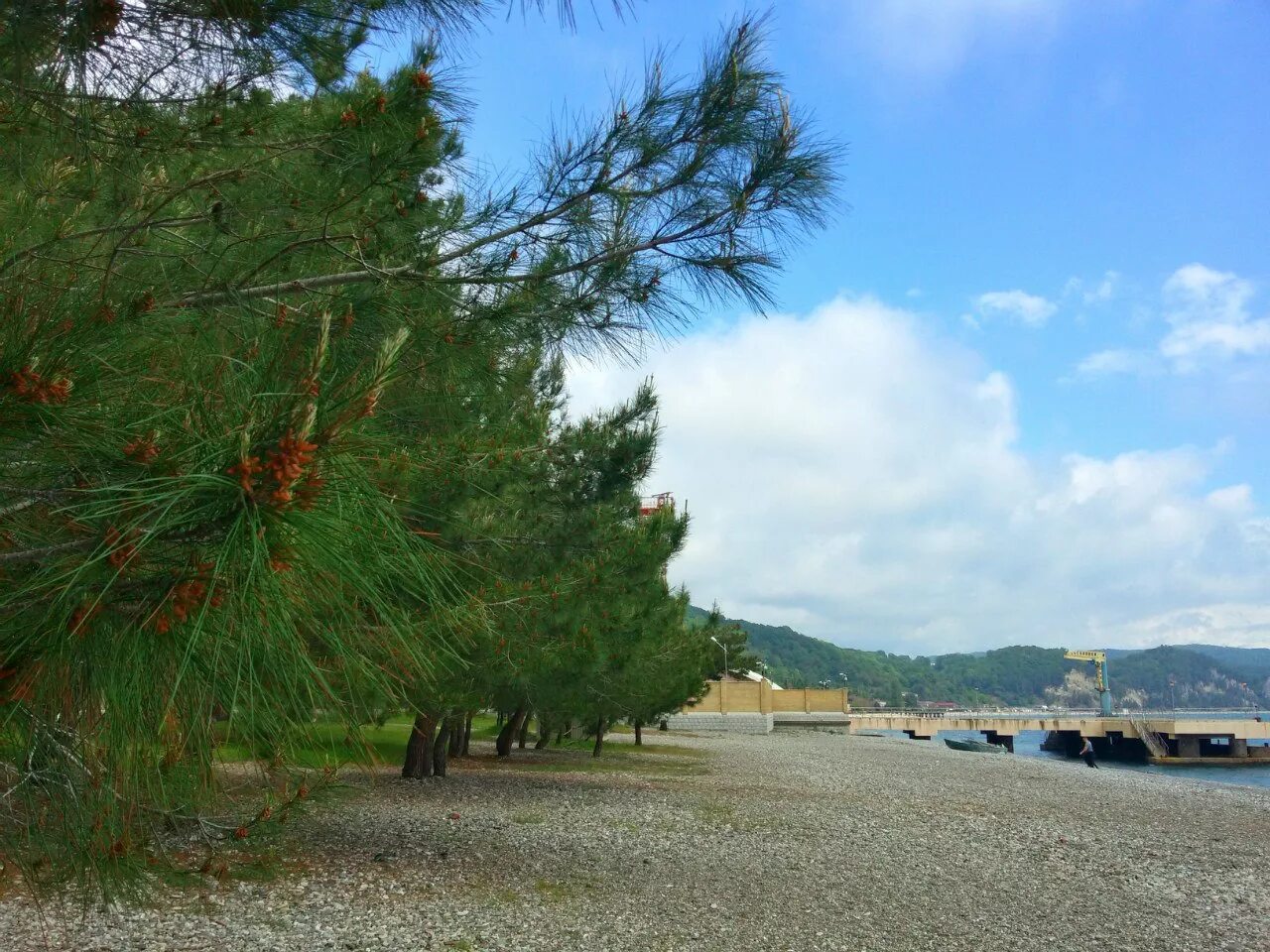 Пляж гагрский район село лдзаа фото Абхазия. Курорт Лидзава
