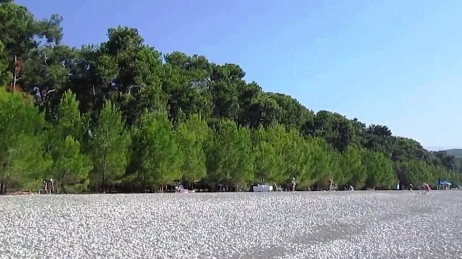Пляж гагрский район село лдзаа фото Частный сектор Лдзаа Лидзавское шоссе № 12 ОТДЫХ в АБХАЗИИ - ЖИЛЬЁ, ЭКСКУРСИИ, Т