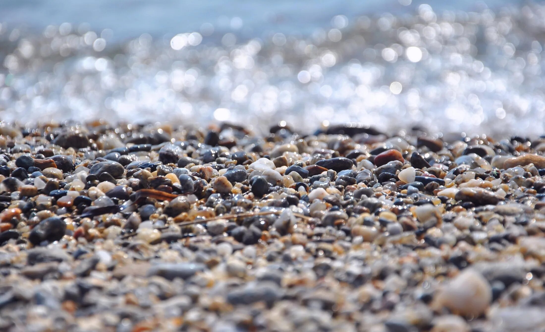 Пляж галька фото Скачать обои вода, макро, свет, блики, камни, берег, волна, камешки, раздел макр