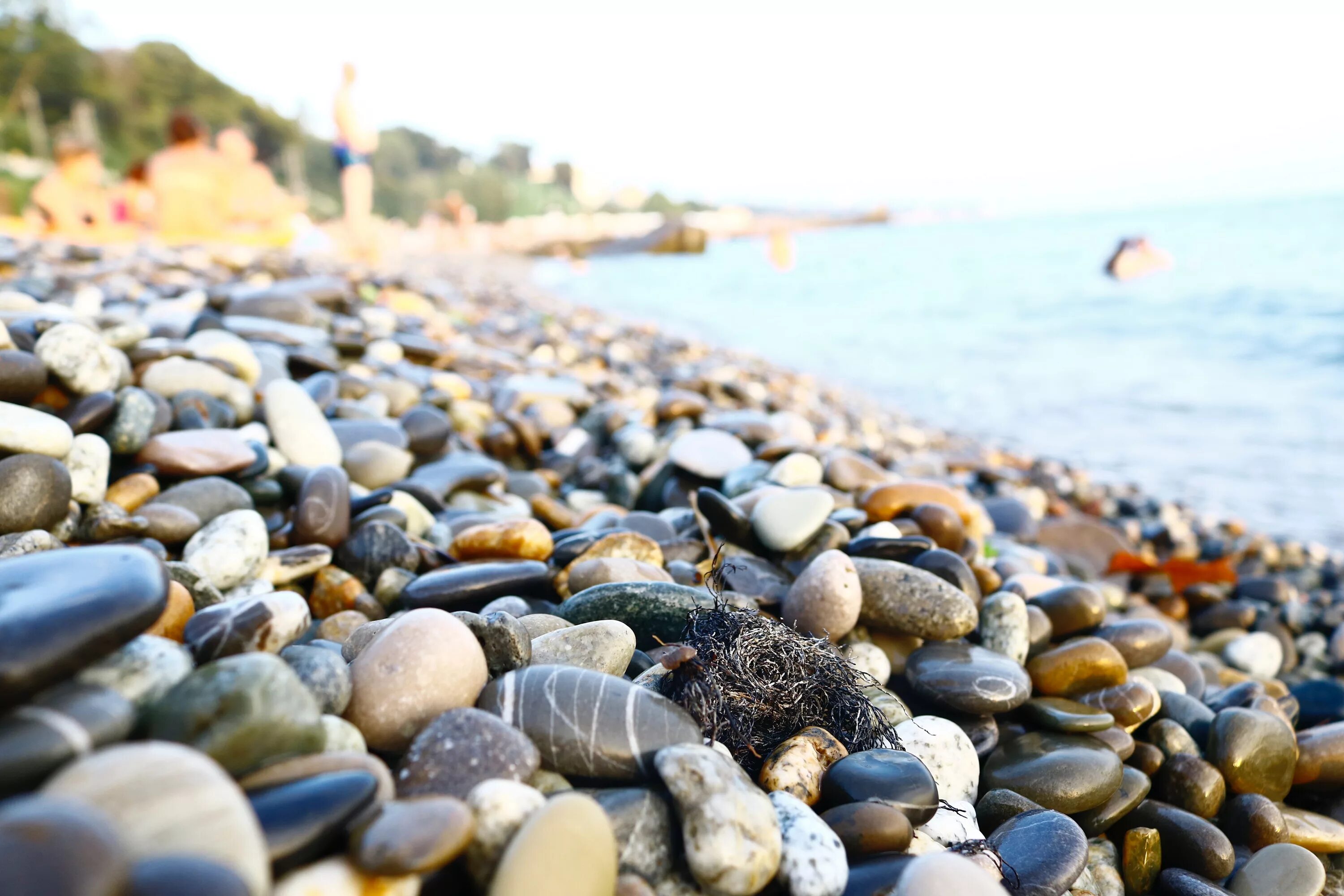 Пляж галька фото Free Images : pebble, shore, gravel, rock, natural environment, coast, beach, se