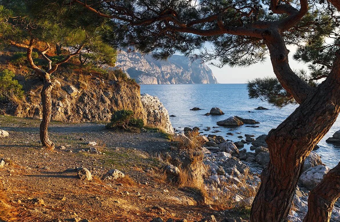 Пляж инжир крым фото Отель Даккар (Балаклава), Крым, Западный Крым, Севастополь Официальный сайт туро
