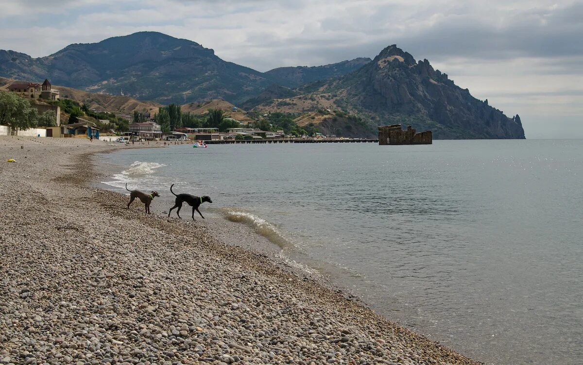 Пляж курортное крым фото Курортное: galich89 - ЖЖ
