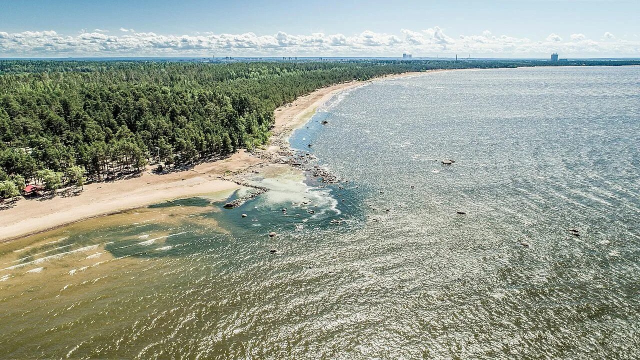 Пляж ленинградская область сосновый бор фото Клуб и школа пляжного волейбола RIO тренировки для взрослых, начинающих и спортс