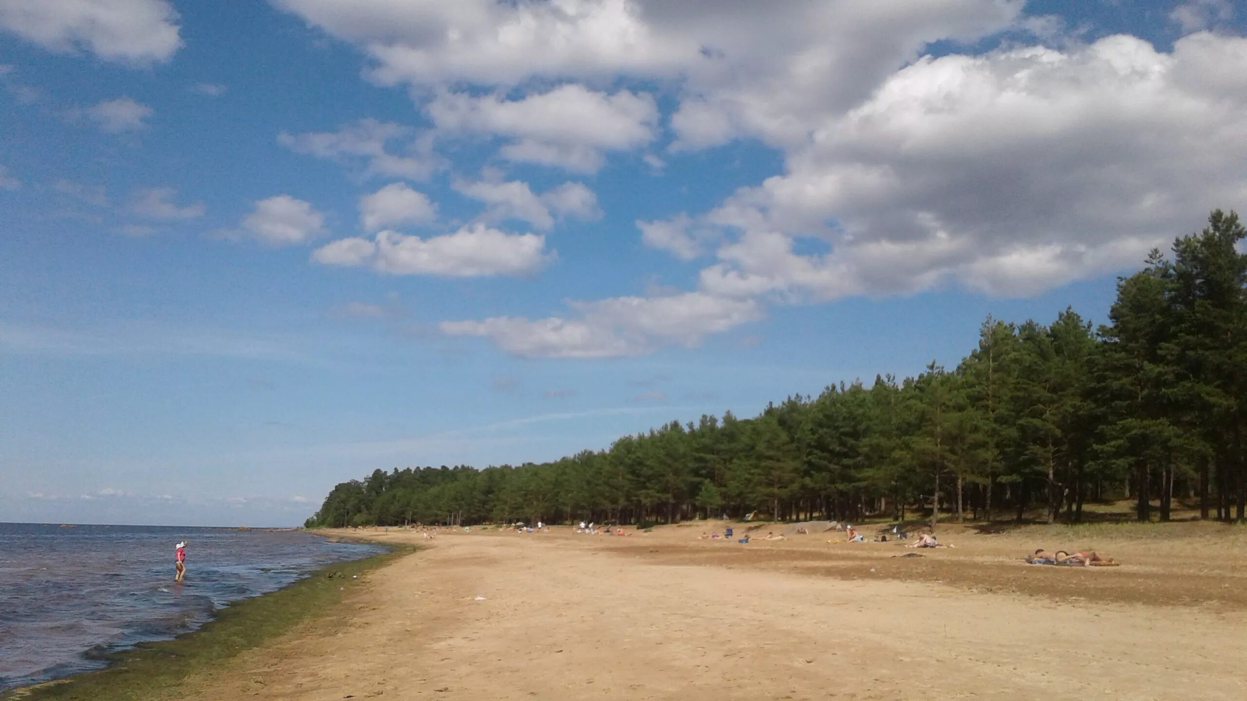 Пляж ленинградская область сосновый бор фото В каких водоемах Соснового Бора и по каким дням можно купаться без опасности / М