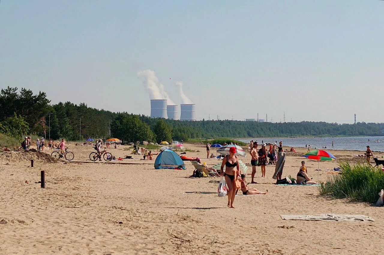 Пляж ленинградская область сосновый бор фото Почему на городском пляже в Сосновом Бору не хватает кабинок и туалетов / Маяк. 