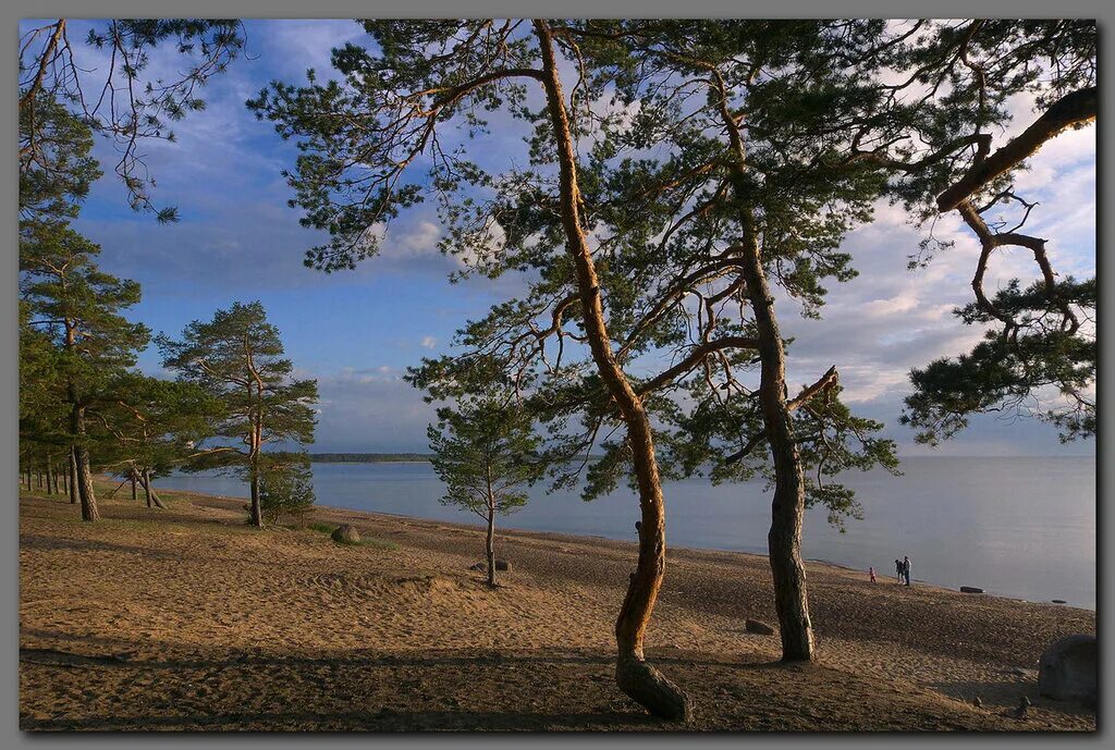 Пляж ленинградская область сосновый бор фото Камера для прогулок, туризма, отпуска, конференций, выставок: ультракомпакт, про