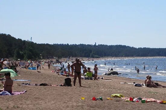 Пляж ленинградская область сосновый бор фото На пляжах в Сосновом Бору нашествие отдыхающих / Маяк. Сосновый Бор. Ленобласть.