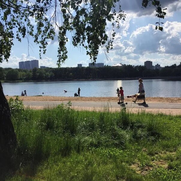 Пляж левобережный фото Дубна левобережная