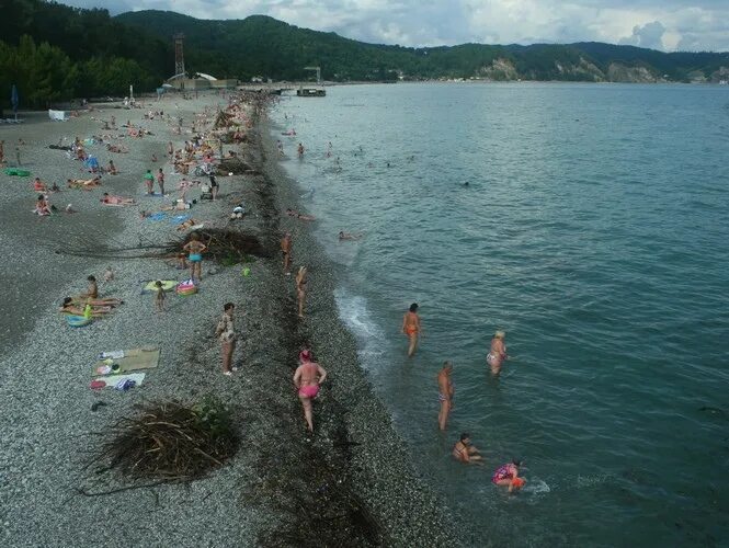 Пляж лидзава гагрский район село лдзаа фото Пляж Пицунды. / Фотографии Грузии