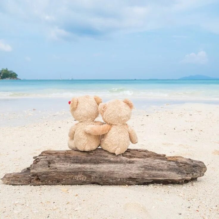 Пляж любовь фото Pin by Daia on Wallpapers, Papéis de parede , Descanso de tela... Cute teddy bea