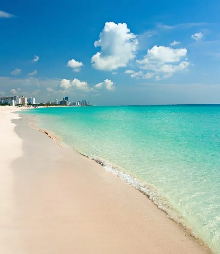 Пляж майами крым фото guauuuuuu South beach hotels, South beach miami, Miami hotels south beach