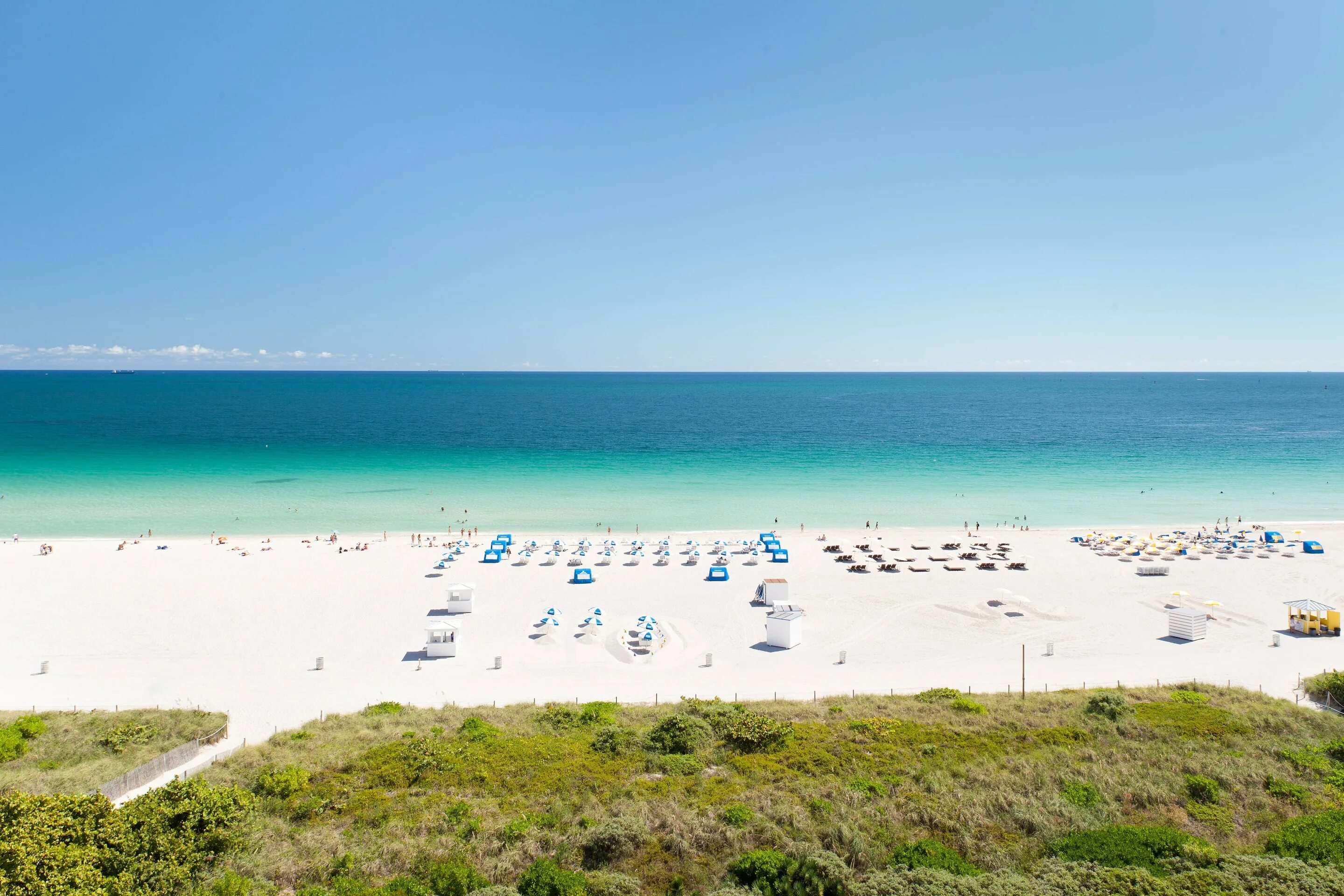 Пляж майами крым фото Hotels South of Fifth Miami Beach Marriott Stanton South Beach