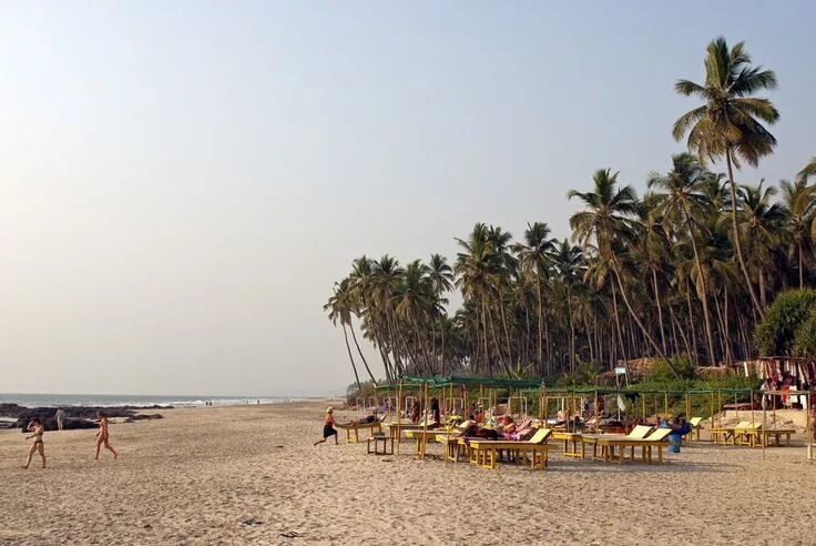 Пляж морджим фото What to Expect at the Different Beaches of Goa Beach, Goa, Weather in india